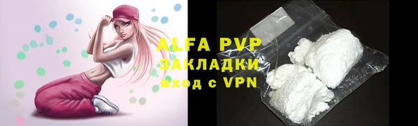 сатива Арсеньев