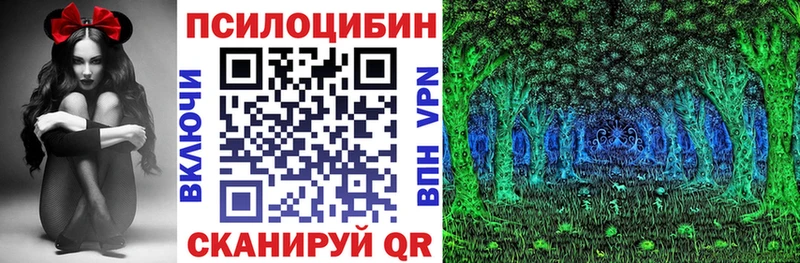 где можно купить   Темрюк  Галлюциногенные грибы мицелий 